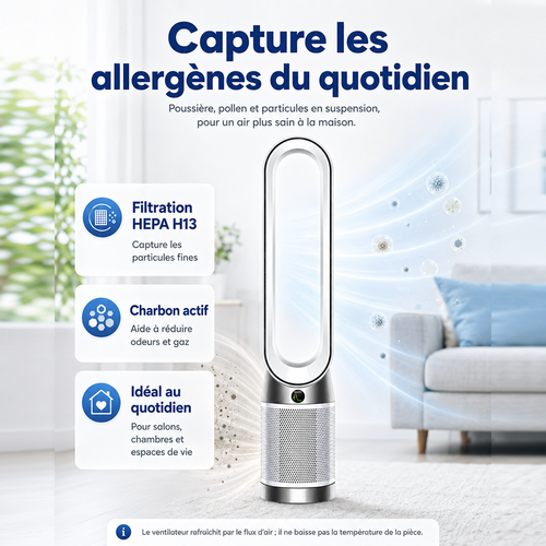 Purificateur ventilateur Dyson Purifier Cool PC1 (Blanc)